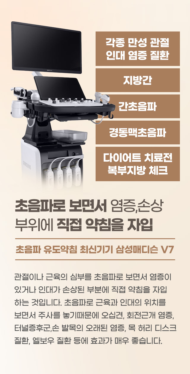 초음파약침